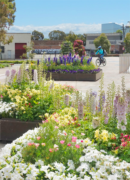 CITYWIDE - 2021 spring Plants Display greensquare